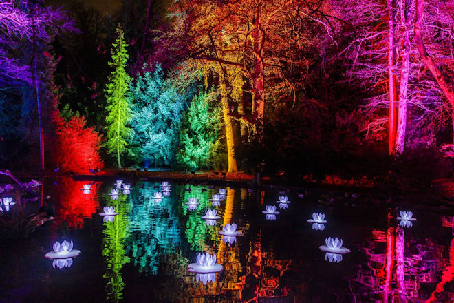 Impressionen vom Christmas Garden Dresden