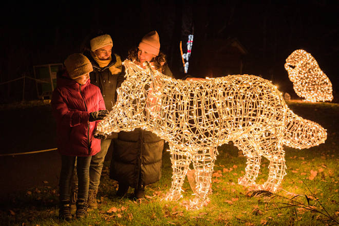 Impressionen von Weihnachten im Tierpark in Berlin-Friedrichsfelde