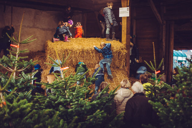 Impressionen vom weihnachtlichen Hofmarkt auf dem Hof Driehaus in Ostercappeln-Schwagstorf