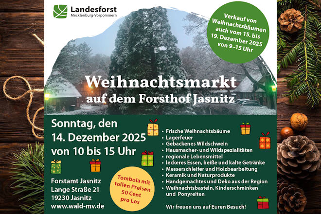 Willkommen zum Weihnachtsmarkt auf dem Forsthof Jasnitz 2025!